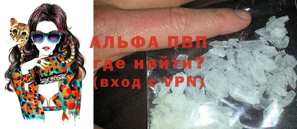 гидра Вязьма