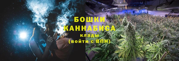 гидра Вязьма
