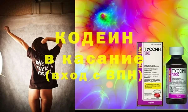 ГАЛЛЮЦИНОГЕННЫЕ ГРИБЫ Вяземский