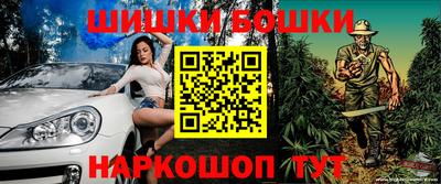 дмт Гатчина