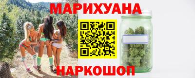 дмт Гатчина