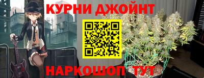 дмт Гатчина