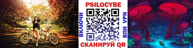 Псилоцибиновые грибы Psilocybe  закладка  Костомукша 