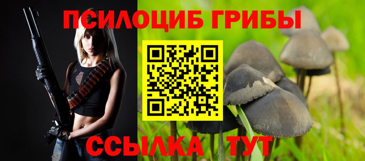 Галлюциногенные грибы Psilocybine cubensis  Вход с VPN  купить  сайты  Костомукша 